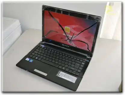 Замена матрицы Packard Bell в Смоленске